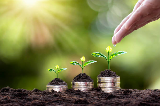 Planting on stacked coins and hand watering plants on green blurred background and natural light with financial concept.