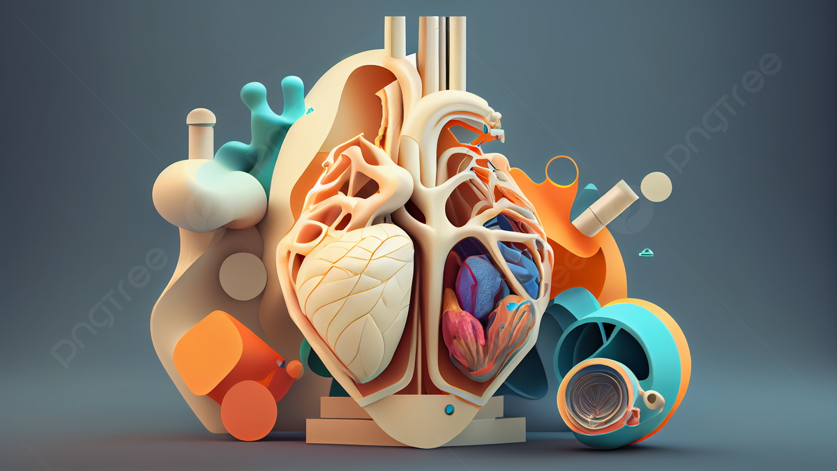 organ regression