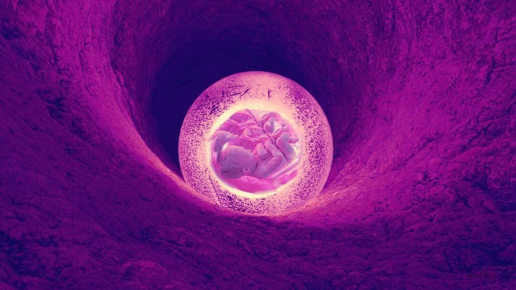 unborn-baby-cave-5375169-1024x576